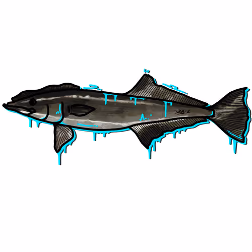 No.1 sharksucker