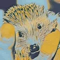 Nami the Hedgehog