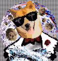 Doge Profile
