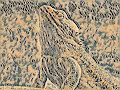 Dragon Boi