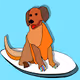 Dogs enjoy surfing life