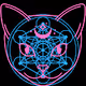 Cat of Life