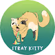 Stray Kitty NFT