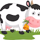 Farm Equipments