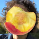 GreasyPeach Collection