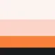 Color Vibes Polygon