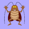 Lucky Roach