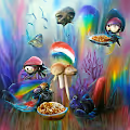 The magic mushroom collection