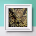 Monetary Frames