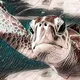 Extinct by 2050