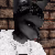 The Wolf Life