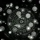 Asymmetrical Universe