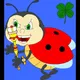 Lucky_ladybug