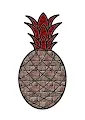 Crypto Pineapple