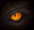 Hiroto Dragons