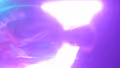 PolygonLife