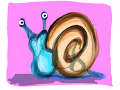 A sea slug called Jamulous
