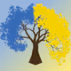 Ukraine_donation