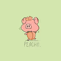 Peachii pigpig