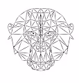 Serious Chimp Club