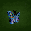 Butterfly Fx