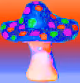 DigiShrooms
