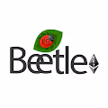 Beetle's Creative Art
