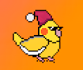 Cool Birds World