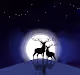 La Moonlight
