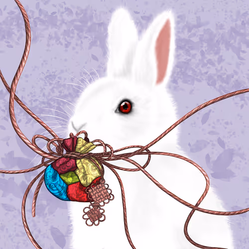 Find your rabbit_Special NFT.pol