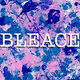 Bleace Novel NFTs