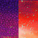 Colors for ever