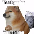 Doge Opinion Test