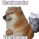 Doge Opinion Test