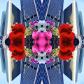 Parametric Photography Times Square Ny