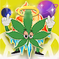 Mr.Weedie