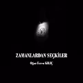 Zamanlardan Seckiler