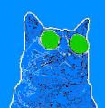 99 Digital cats