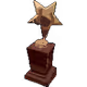 Crypto Star Award
