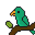 Crazy_Parrots
