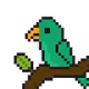 Crazy_Parrots