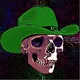 Psychedelic Skullies