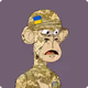 Ukrain Soldier