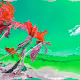 Anguilla - Leeward Islands (Lesser Antilles)