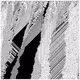 cellular automata 86