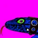 Lizards From Ibiza
