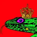 Lizards From Ibiza