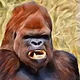 Angry Gorrilas