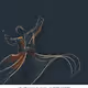 Semazen (Whirling dervish)