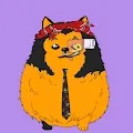 Special Pomeranians' Club